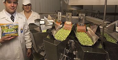 14 Heads Called Green Bean Packaging Machinery